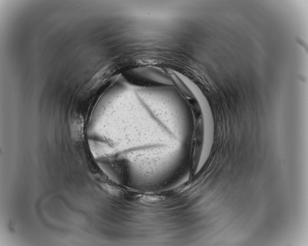 X0000096470332200802141704