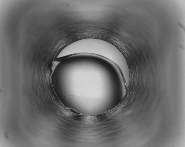 X0000096470333200802141704