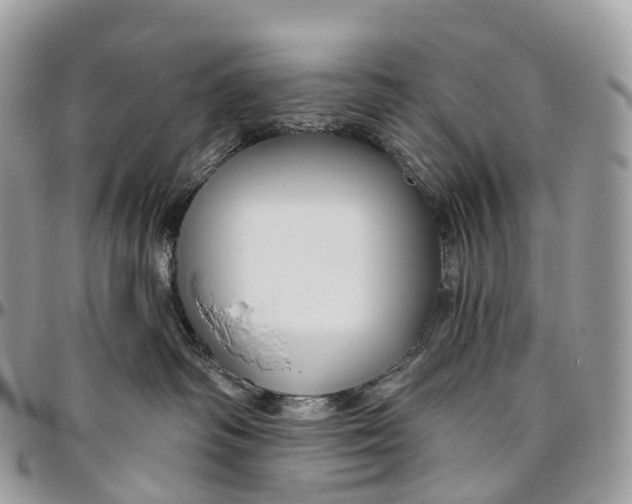 X0000096470334200802141704