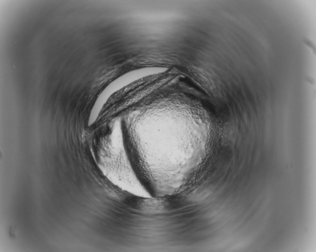 X0000096470335200802141704