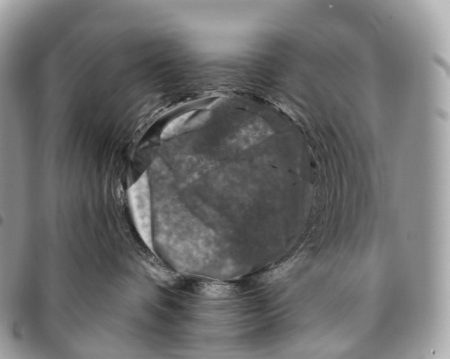 X0000096470336200802141704