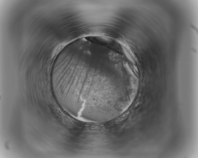 X0000096470337200802141703