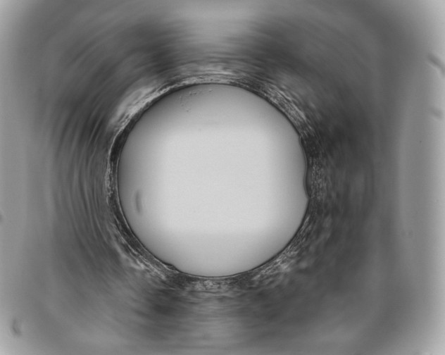 X0000096470338200802141703