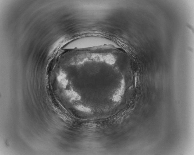 X0000096470339200802141703