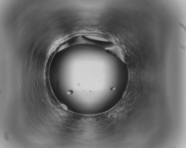 X0000096470340200802141703