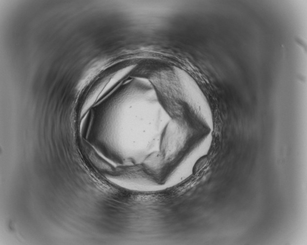 X0000096470341200802141703