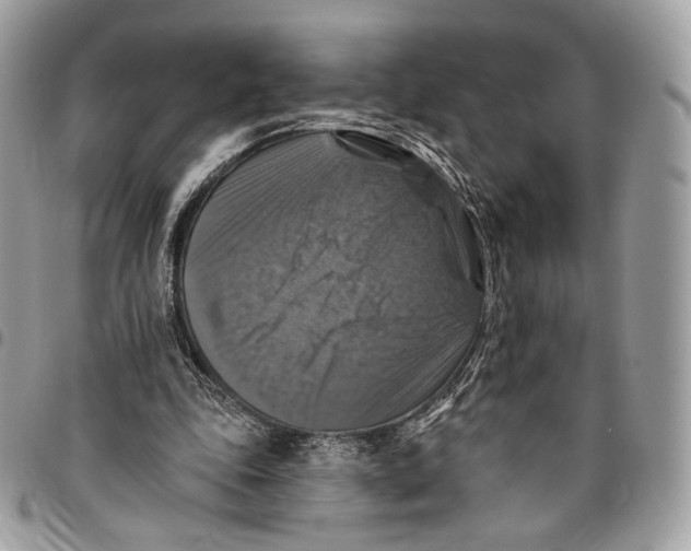 X0000096470343200802141703