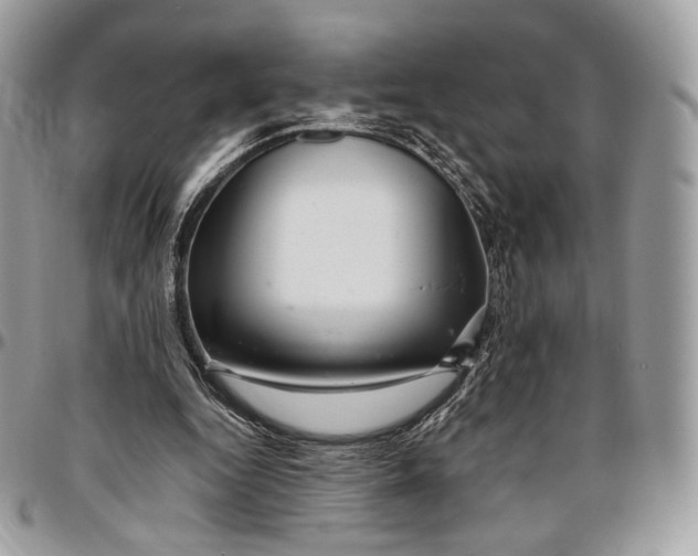 X0000096470344200802141703