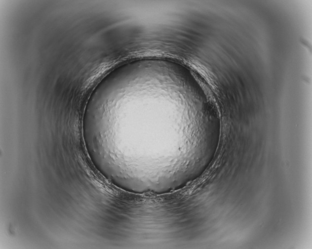 X0000096470345200802141703