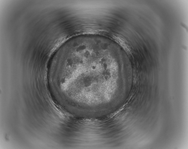 X0000096470346200802141703