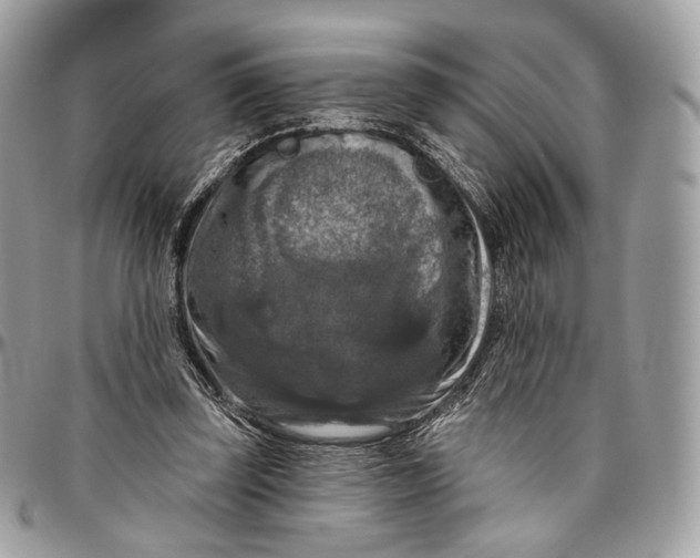 X0000096470347200802141703