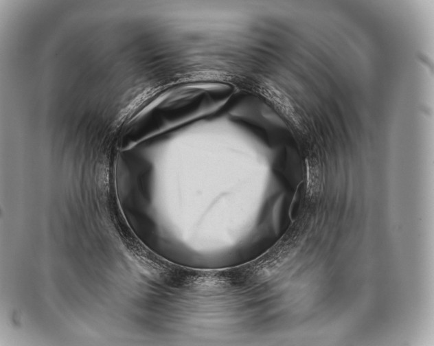 X0000096470348200802141703