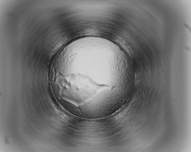 X0000096470349200802141703