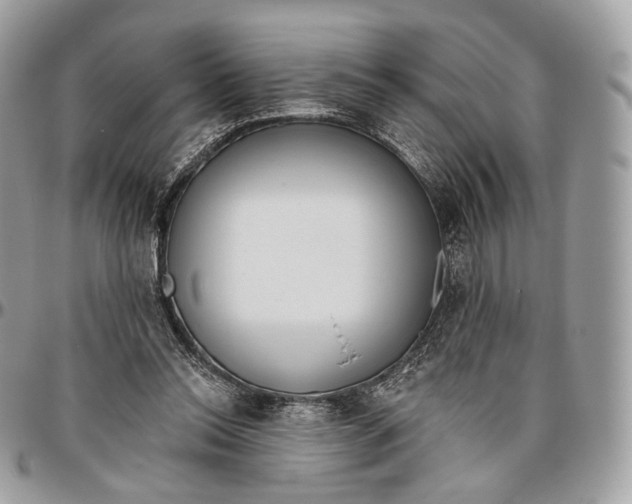 X0000096470350200802141703