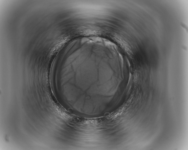 X0000096470353200802141703