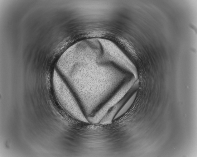 X0000096470354200802141703