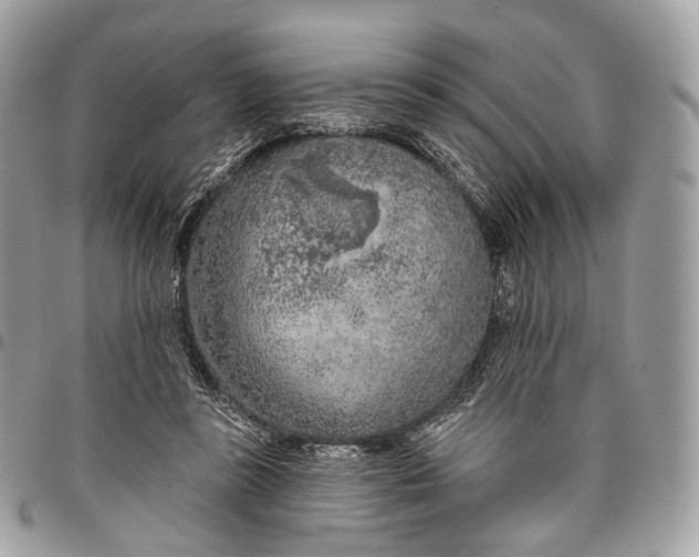 X0000096470355200802141703