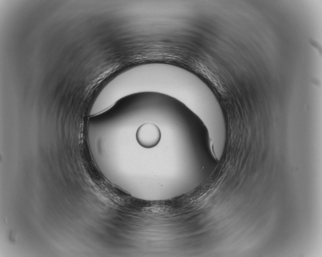 X0000096470356200802141703