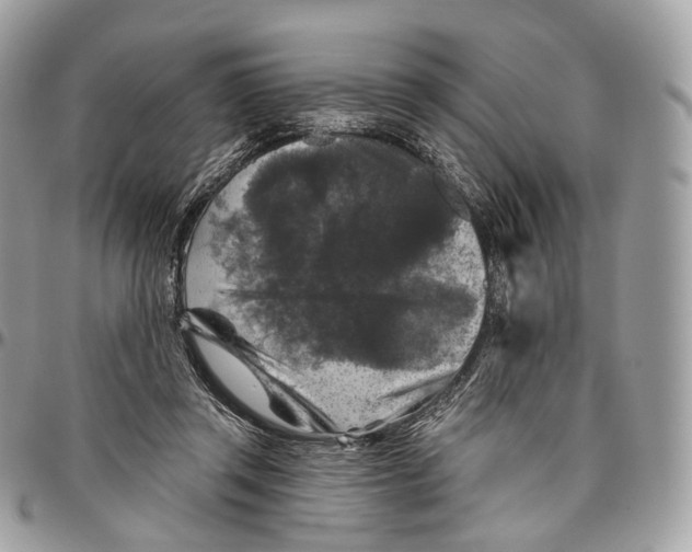 X0000096470357200802141703