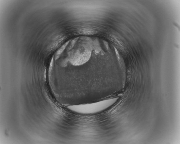 X0000096470358200802141703