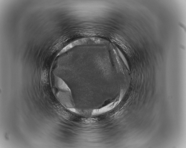 X0000096470359200802141703