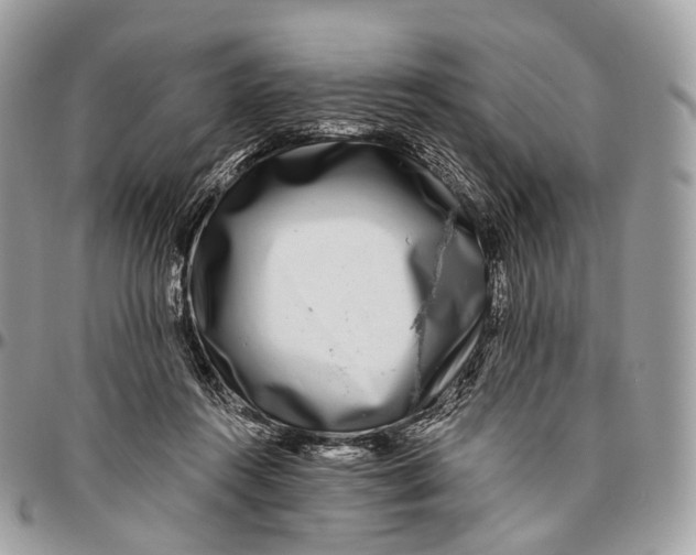 X0000096470360200802141703