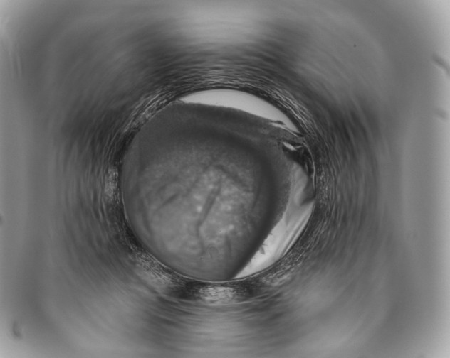 X0000096470361200802141703