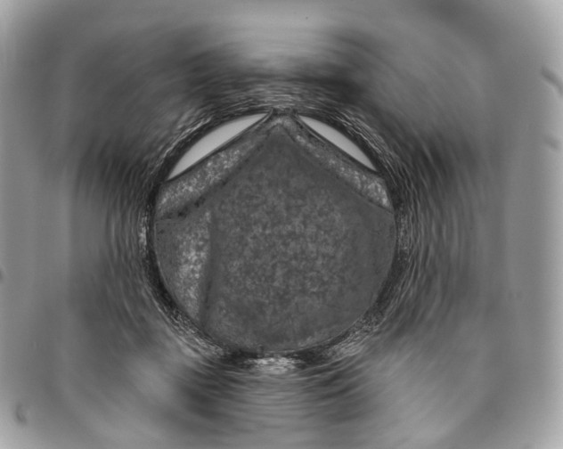 X0000096470363200802141703