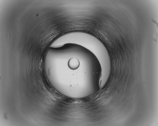 X0000096470364200802141703