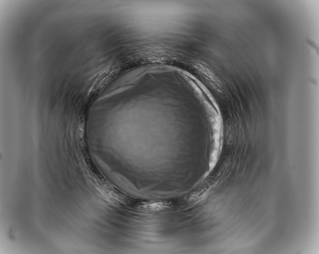 X0000096470365200802141703