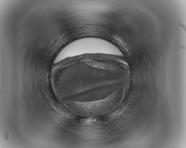 X0000096470366200802141703