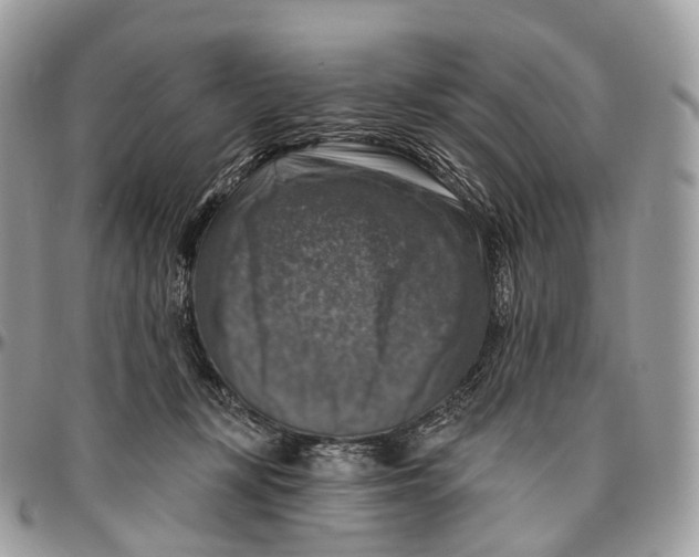 X0000096470367200802141703