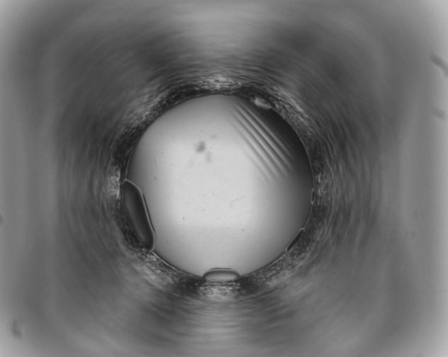 X0000096470368200802141703