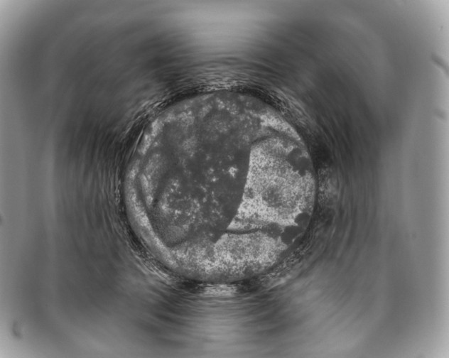 X0000096470369200802141703