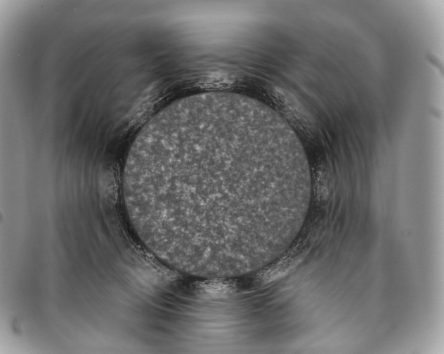 X0000096470370200802141703