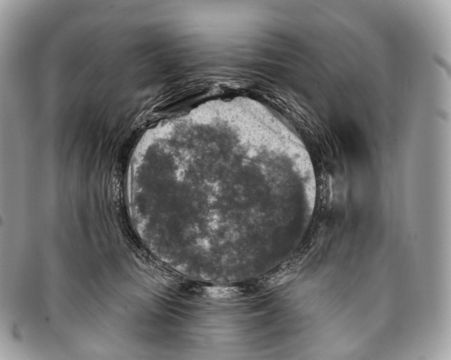 X0000096470371200802141703