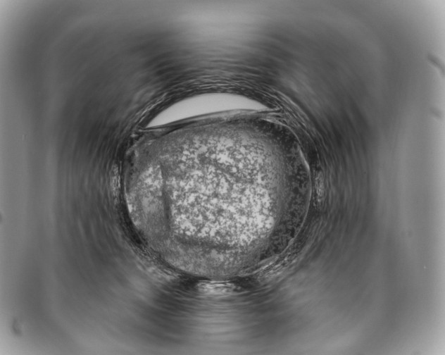 X0000096470372200802141703