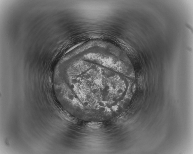 X0000096470373200802141703