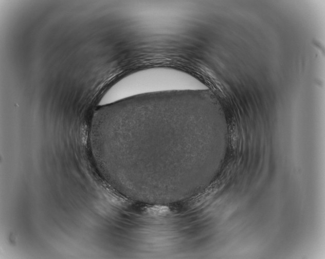 X0000096470374200802141703