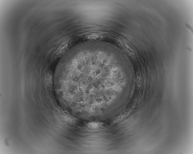 X0000096470375200802141703