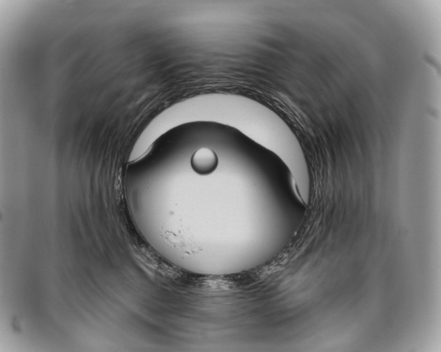 X0000096470376200802141703