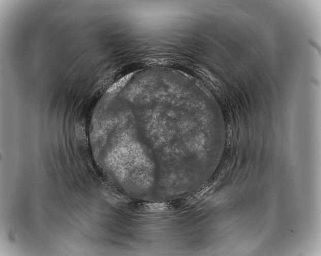 X0000096470377200802141703