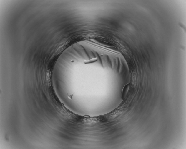 X0000096470378200802141703