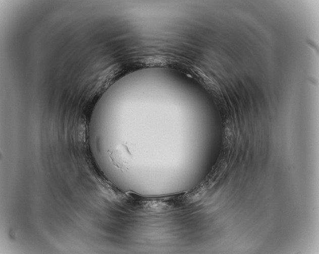 X0000096470379200802141703