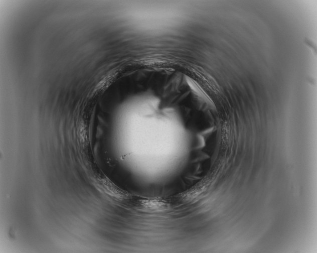 X0000096470380200802141703