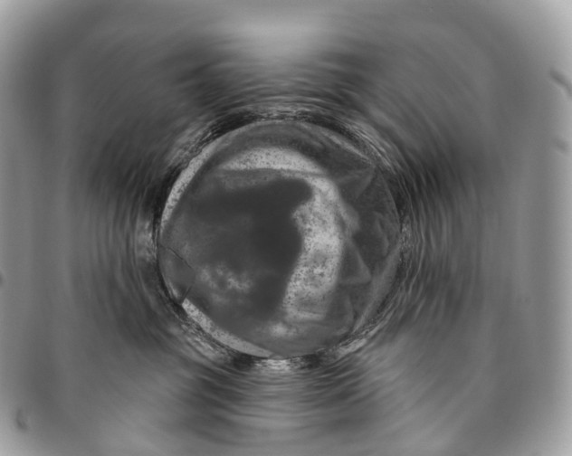 X0000096470381200802141703