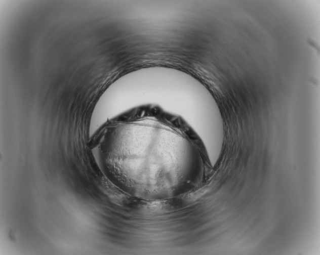 X0000096470382200802141703