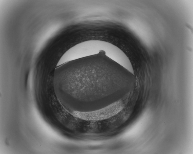 X0000096470383200802141704