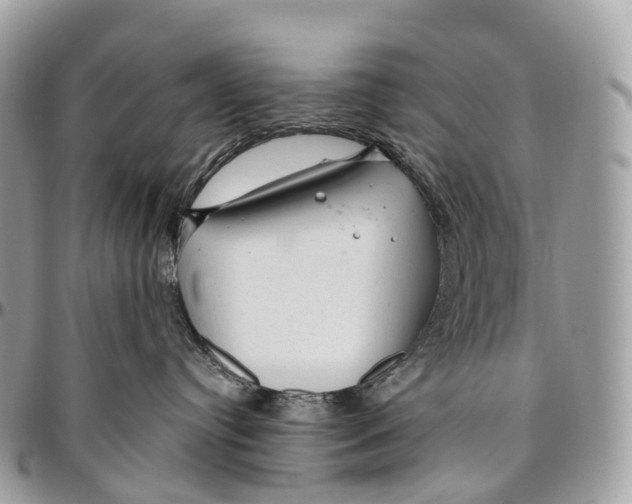 X0000096470384200802141704