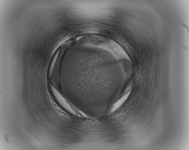 X0000096470386200802141703